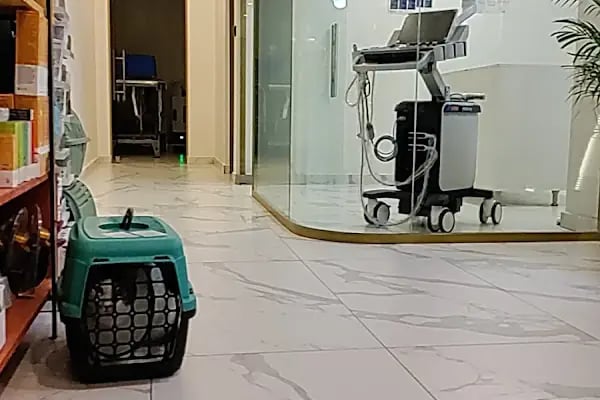 Vethospital Veteriner kliniği 7/24 ACİL VETERİNER BAHÇELİEVLER - Resim 18