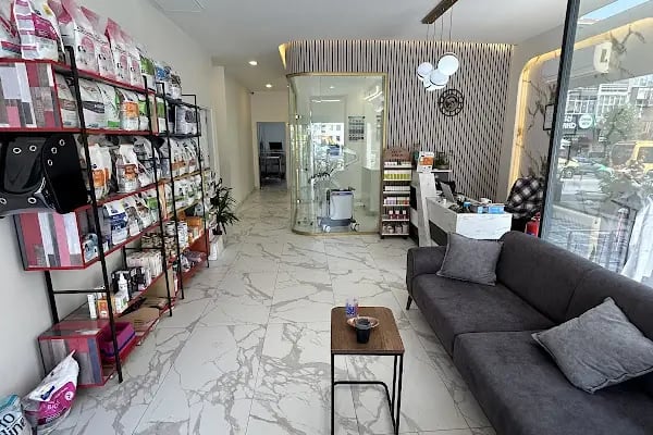 Vethospital Veteriner kliniği 7/24 ACİL VETERİNER BAHÇELİEVLER - Resim 12