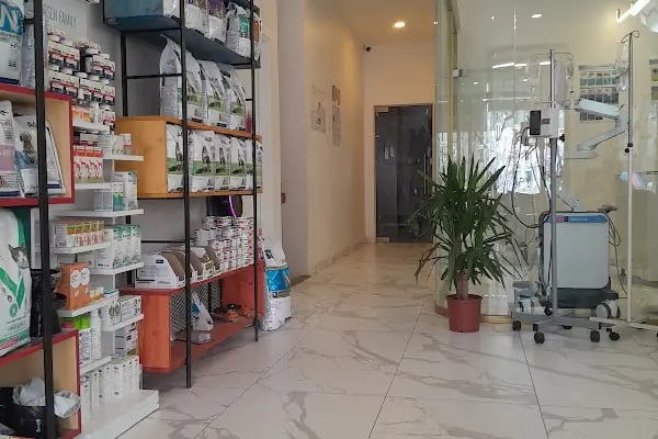 Vethospital Veteriner kliniği 7/24 ACİL VETERİNER BAHÇELİEVLER - Resim 19