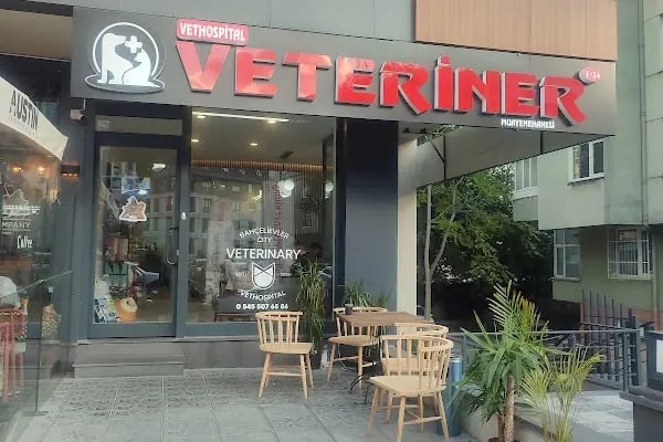 Vethospital Veteriner kliniği 7/24 ACİL VETERİNER BAHÇELİEVLER - Resim 7