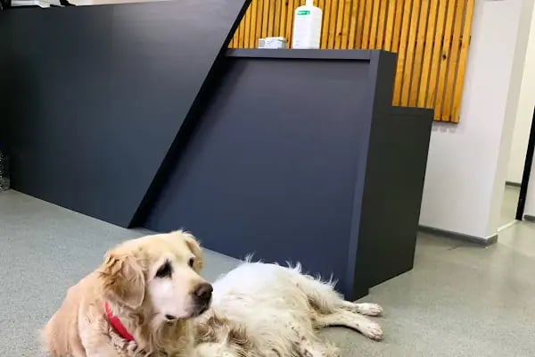 VetCo Veteriner Kliniği - Resim 15