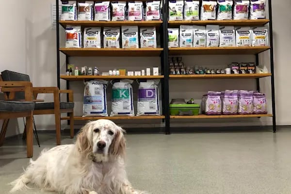 VetCo Veteriner Kliniği - Resim 1