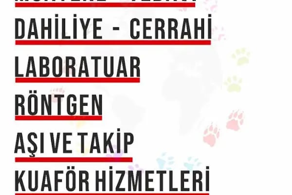 Pet Nation Veteriner Kliniği - Resim 5