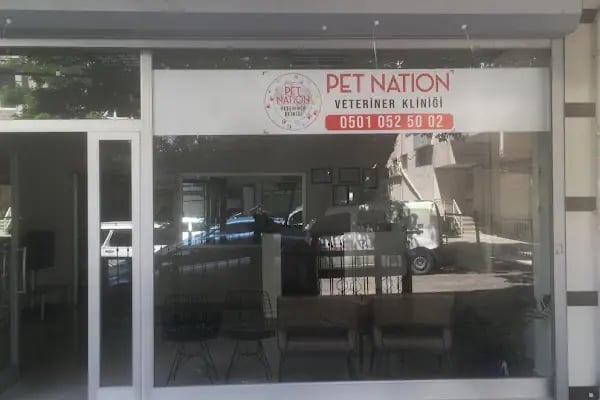 Pet Nation Veteriner Kliniği - Resim 3