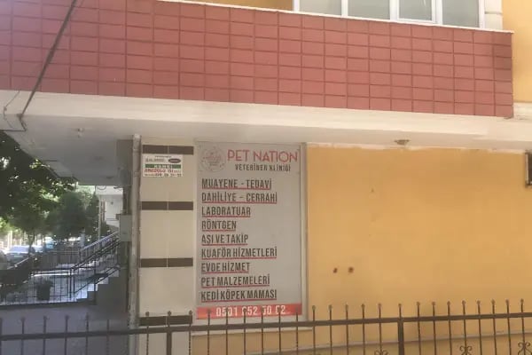 Pet Nation Veteriner Kliniği - Resim 2