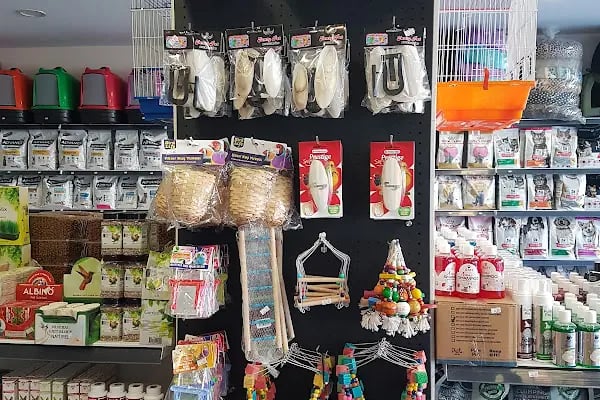 GRY PET SHOP - Resim 16
