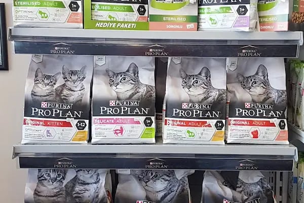 GRY PET SHOP - Resim 19