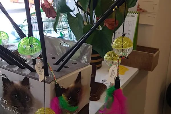 GRY PET SHOP - Resim 17