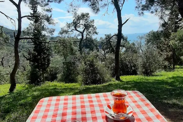 Aşıklar Nostalji Cafe - Resim 8