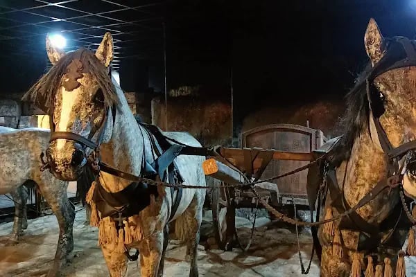 Tofaş Sanat Galerisi (Tarihi Umurbey Hamamı) - Resim 16
