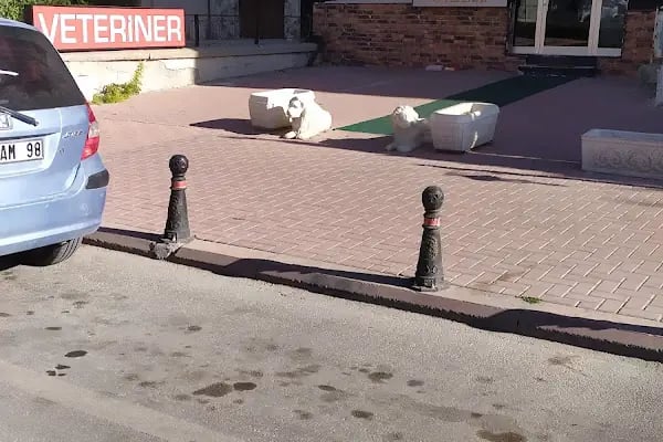 Atlas Veteriner Kliniği - Resim 14