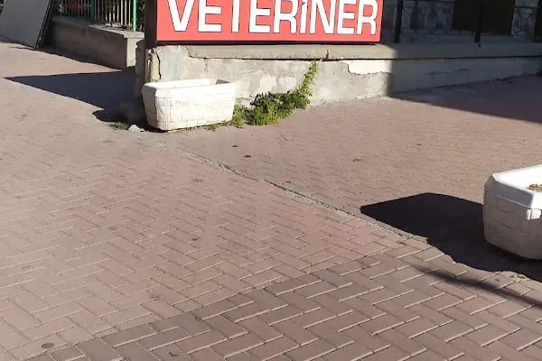 Atlas Veteriner Kliniği - Resim 19