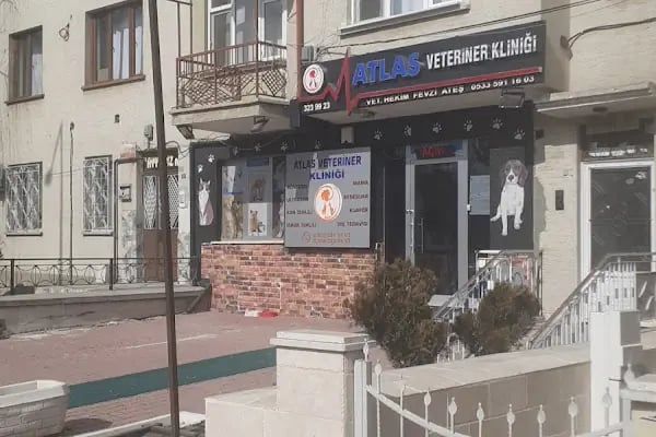 Atlas Veteriner Kliniği - Resim 10