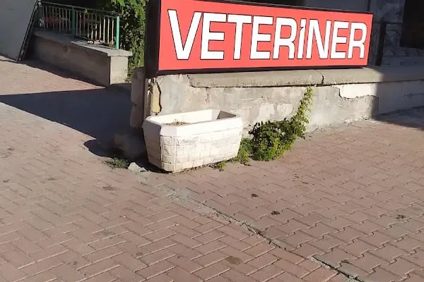 Atlas Veteriner Kliniği - Resim 20