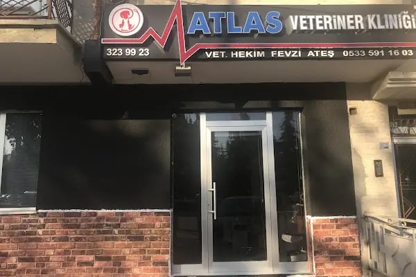 Atlas Veteriner Kliniği - Resim 7