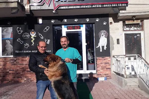 Atlas Veteriner Kliniği - Resim 18