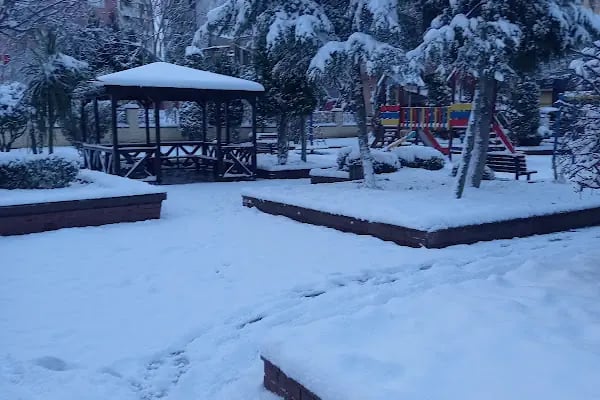 Meydan Halkalı - Resim 18
