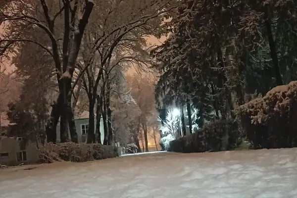 Adapazarı Şeker Fabrikası A.Ş. - Resim 9