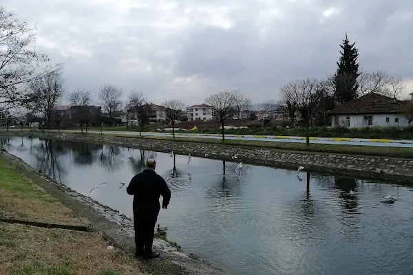 Adapazarı Şeker Fabrikası A.Ş. - Resim 13