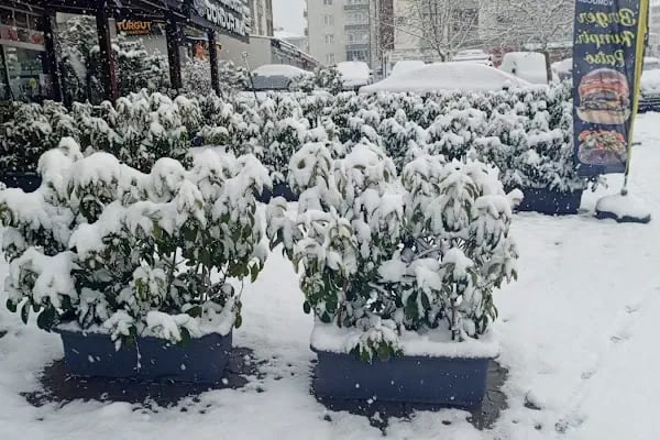 Adapazarı Şeker Fabrikası A.Ş. - Resim 5