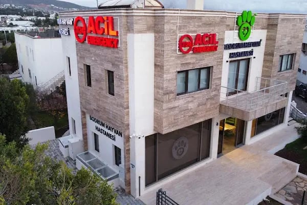 BODRUM HAYVAN HASTANESİ - Resim 16
