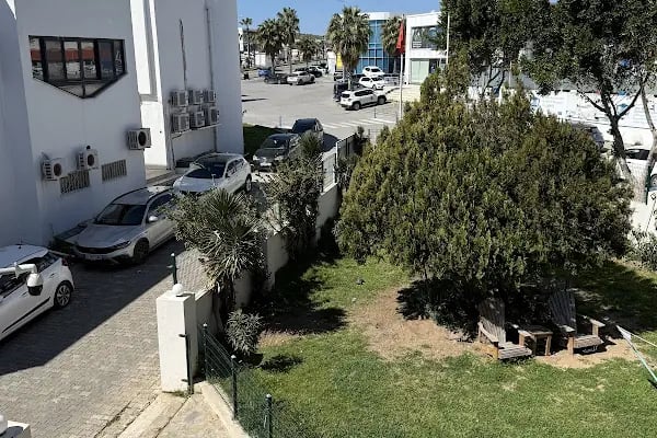 BODRUM HAYVAN HASTANESİ - Resim 12