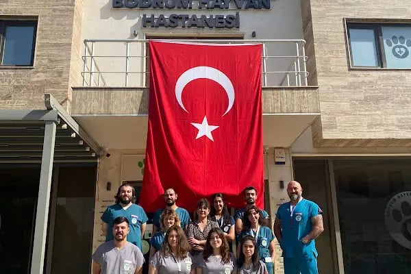 BODRUM HAYVAN HASTANESİ - Resim 19