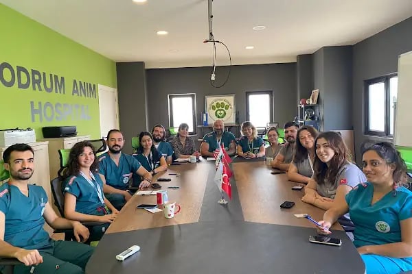 BODRUM HAYVAN HASTANESİ - Resim 2