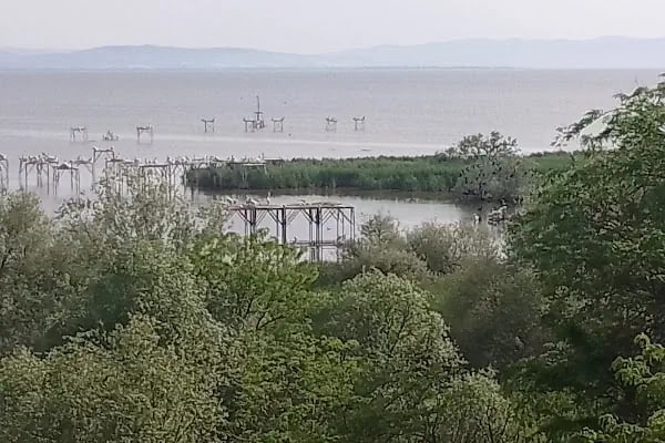 Kuş Cenneti Milli Parkı - Resim 7