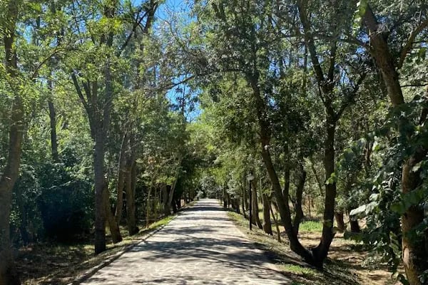 Kuş Cenneti Milli Parkı - Resim 20