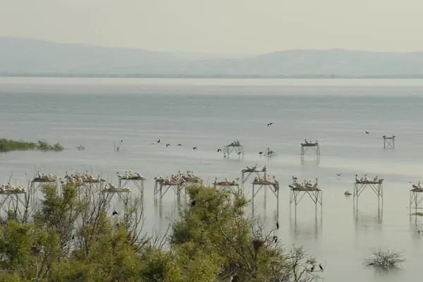 Kuş Cenneti Milli Parkı - Resim 5
