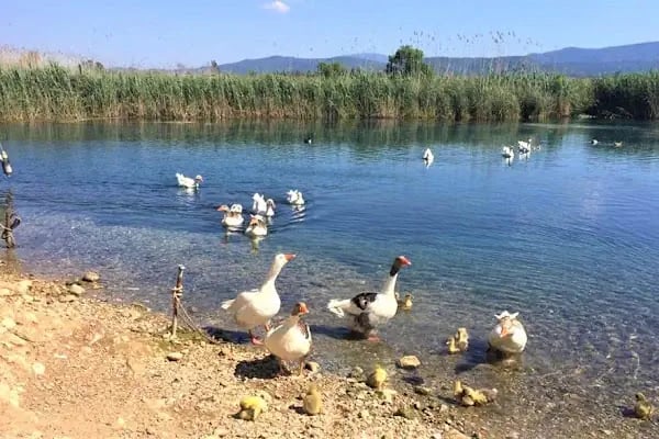 Kuş Cenneti Milli Parkı - Resim 1
