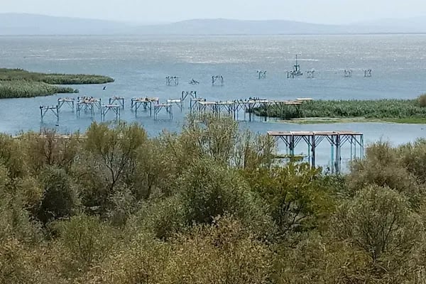 Kuş Cenneti Milli Parkı - Resim 3