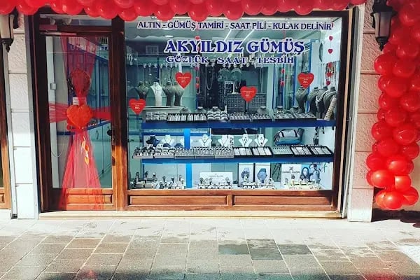 Akyildiz Gümüs - Resim 2