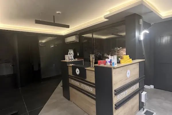 ÇANKAYA BESTEKAR VETERİNER KLİNİĞİ - Resim 10