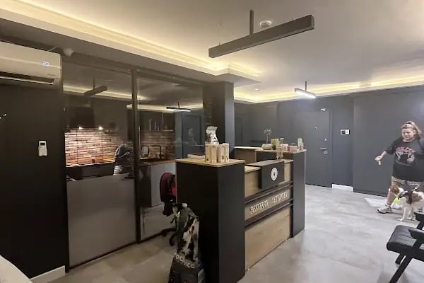 ÇANKAYA BESTEKAR VETERİNER KLİNİĞİ - Resim 15