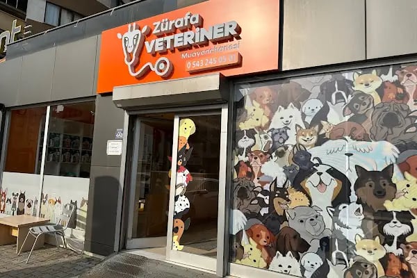 Zürafa Veteriner Muayenehanesi - Resim 1