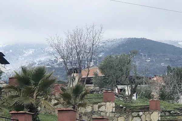 Bozdoğan Belediye - Resim 3