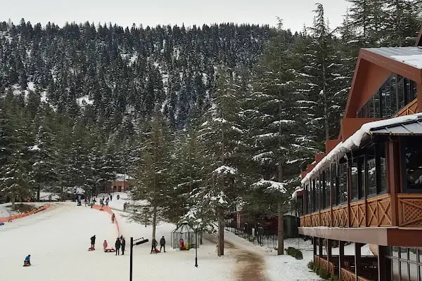 Başkonuş Yaylası Orman Evleri - Resim 18