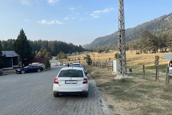 Başkonuş Yaylası Orman Evleri - Resim 12