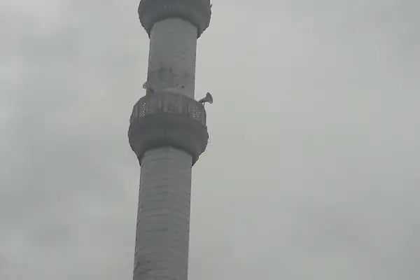 Haraççı Merkez Cami - Resim 6