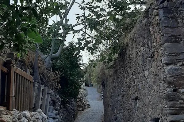 Tophane Mescidi - Resim 17
