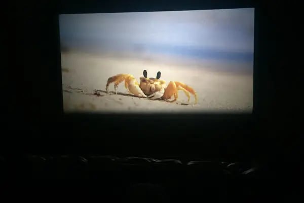 Prestige Cinema - Resim 14