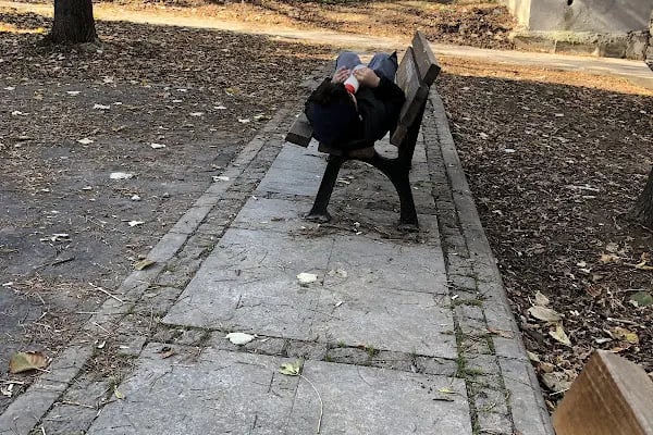 Taşkent Parkı - Resim 15