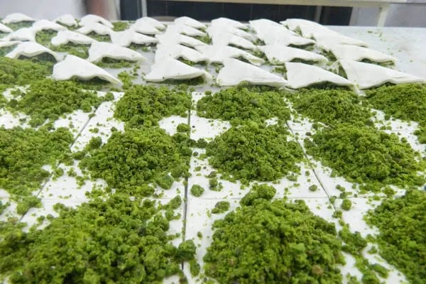 Gaziantepli Hacı İbrahim Usta Baklava (Havzan) - Resim 4