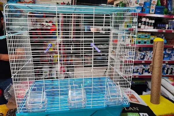 Moon Star Betta Petshop ( MSB PETSHOP ) - Resim 8