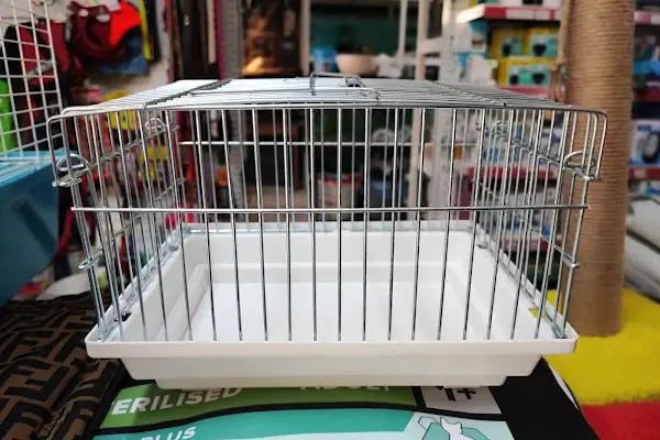Moon Star Betta Petshop ( MSB PETSHOP ) - Resim 14