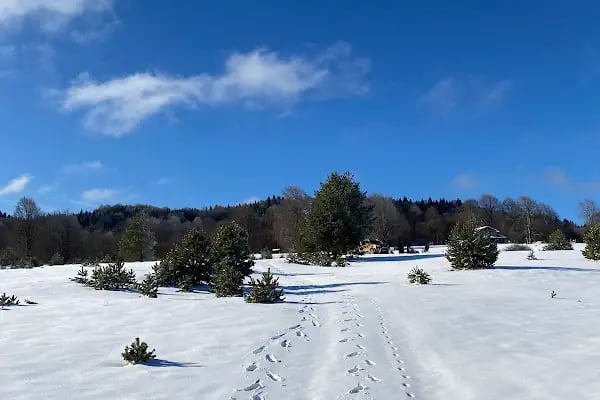 Sapanca Soğucak Yaylası - Resim 8