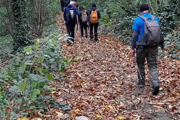 Sapanca Soğucak Yaylası - Resim 18