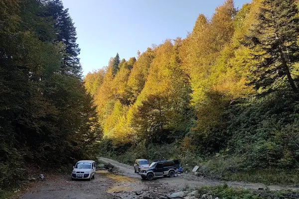 Sapanca Soğucak Yaylası - Resim 14